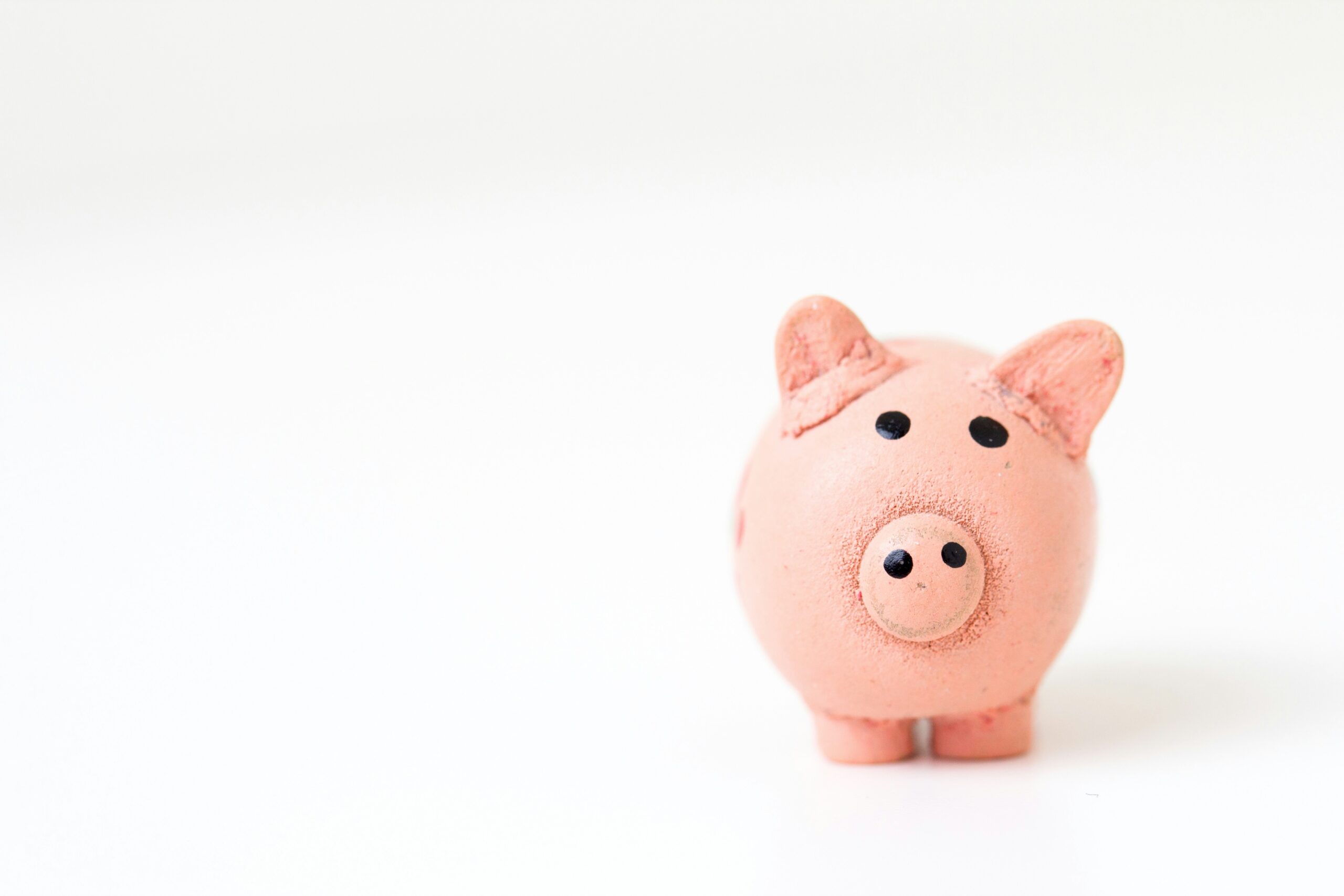a photo of a piggy bank to represent financial freedom